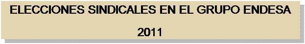 Cuadro de texto: ELECCIONES SINDICALES EN EL GRUPO ENDESA
2011
