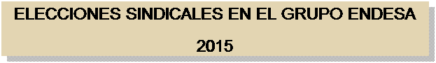 Cuadro de texto: ELECCIONES SINDICALES EN EL GRUPO ENDESA
2015
